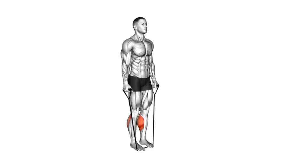 Thumbnail for the video of exercise: Band Two Legs Calf Raise -