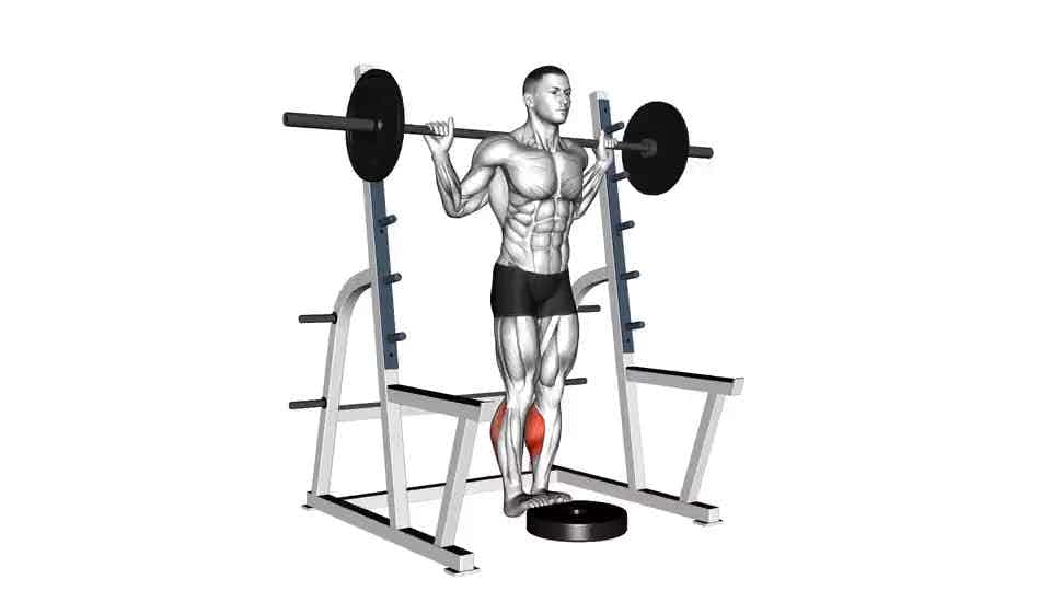 Thumbnail for the video of exercise: Barbell Standing Calf Raise