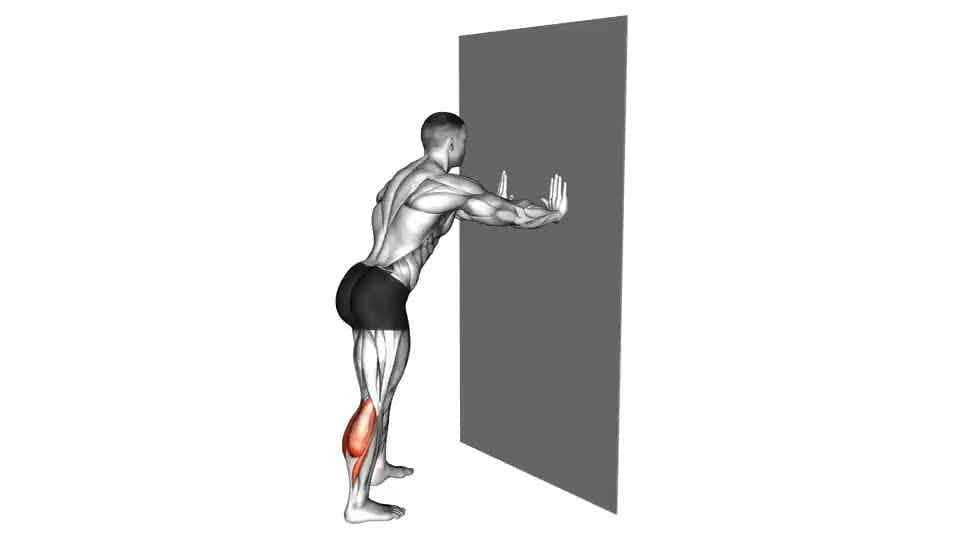 Thumbnail for the video of exercise: Calf Stretch With Hands Against Wall