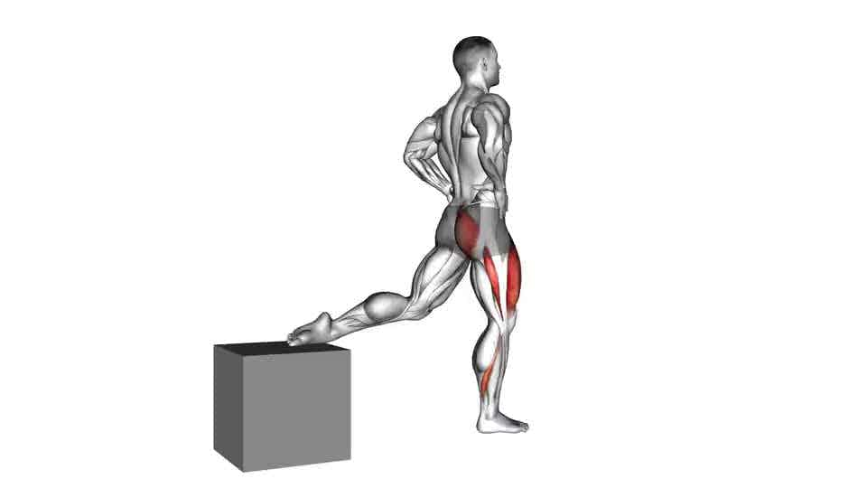 Thumbnail for the video of exercise: One Leg Squat