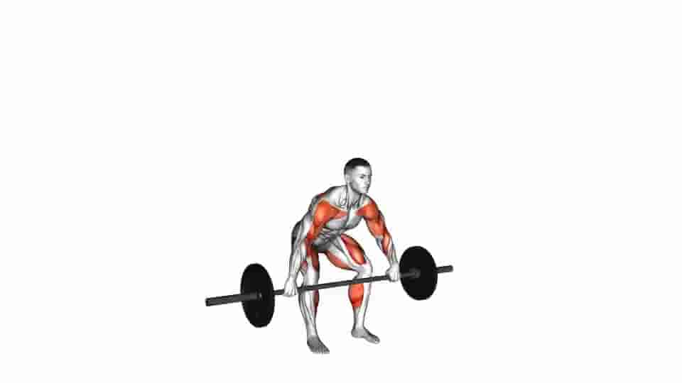 Thumbnail for the video of exercise: Barbell Hang Snatch