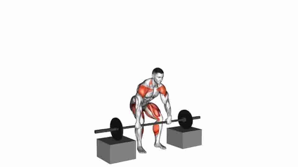 Thumbnail for the video of exercise: Barbell Power Snatch From Blocks