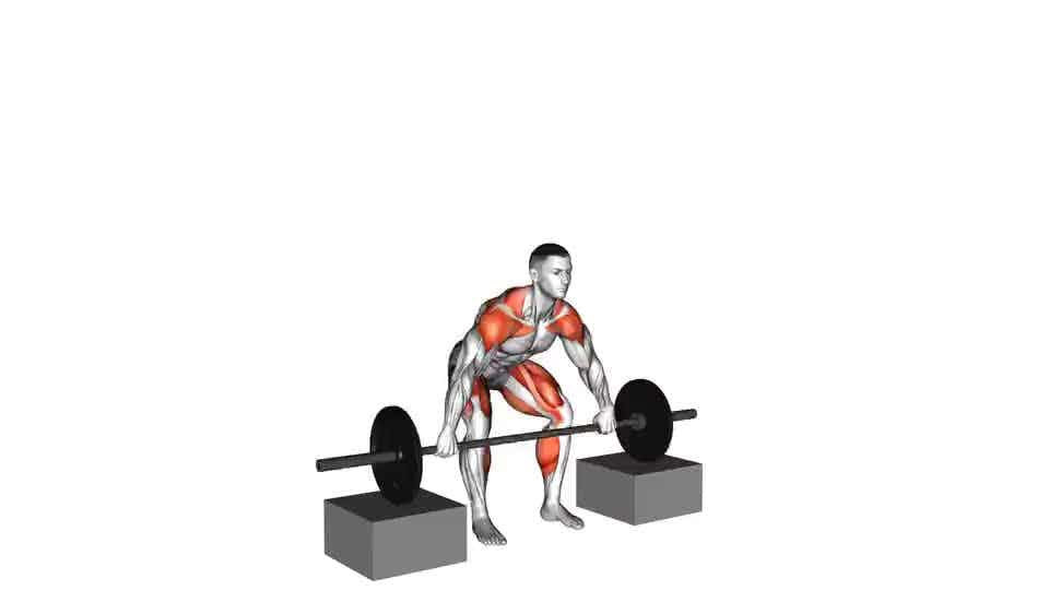 Thumbnail for the video of exercise: Barbell Snatch from Blocks