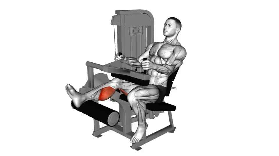 Thumbnail for the video of exercise: Sviras sēdus vienas kājas čokurošanās