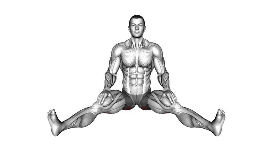 Thumbnail for the video of exercise: Seated Wide Angle Pose Sequence