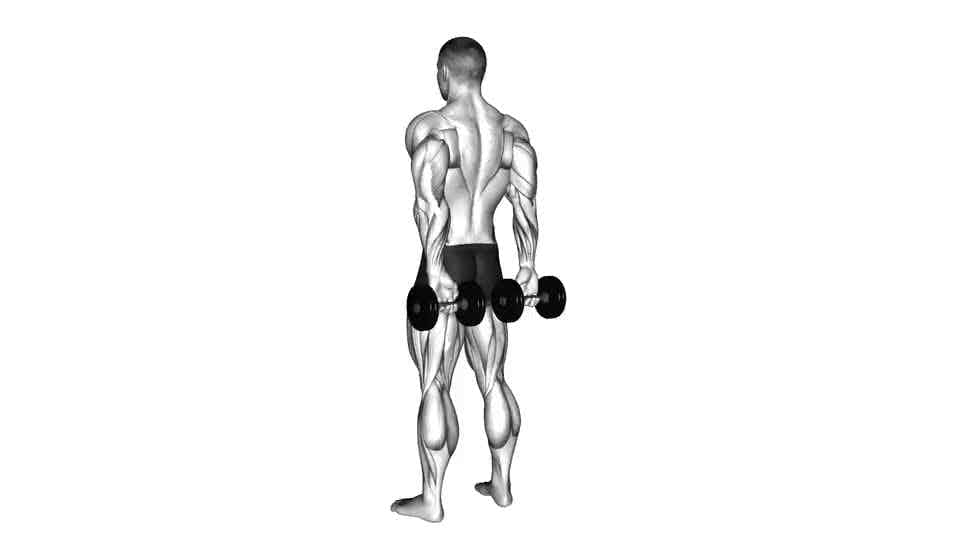 Thumbnail for the video of exercise: Dumbbell Behind Back Finger Curl