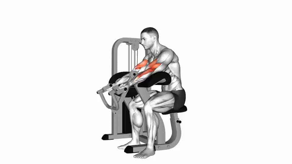 Thumbnail for the video of exercise: Lever Preacher Curl