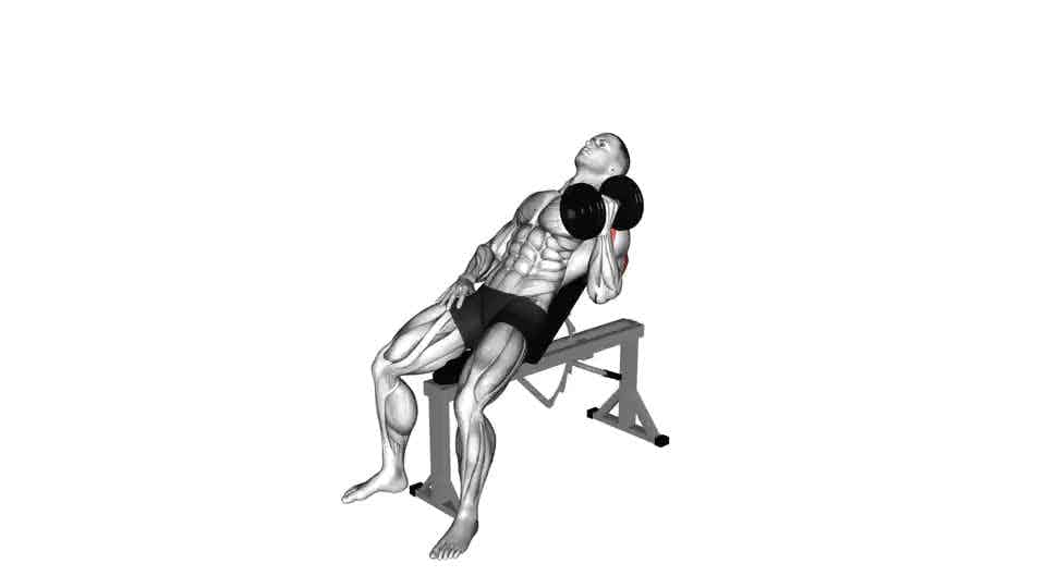 Thumbnail for the video of exercise: Dumbbell Incline One Arm Hammer Press