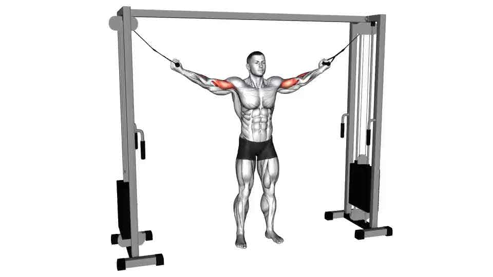 Thumbnail for the video of exercise: Overhead Curl