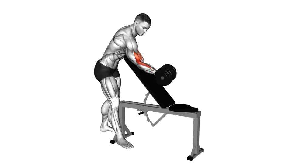 Thumbnail for the video of exercise: Dumbbell One Arm Zottman Preacher Curl