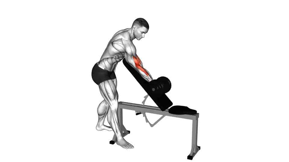 Thumbnail for the video of exercise: Dumbbell Standing One Arm Curl Over Incline Bench