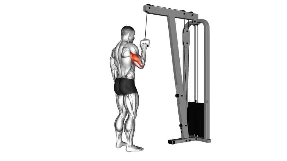 Cable one-arm reverse-grip triceps push-down instructions and video