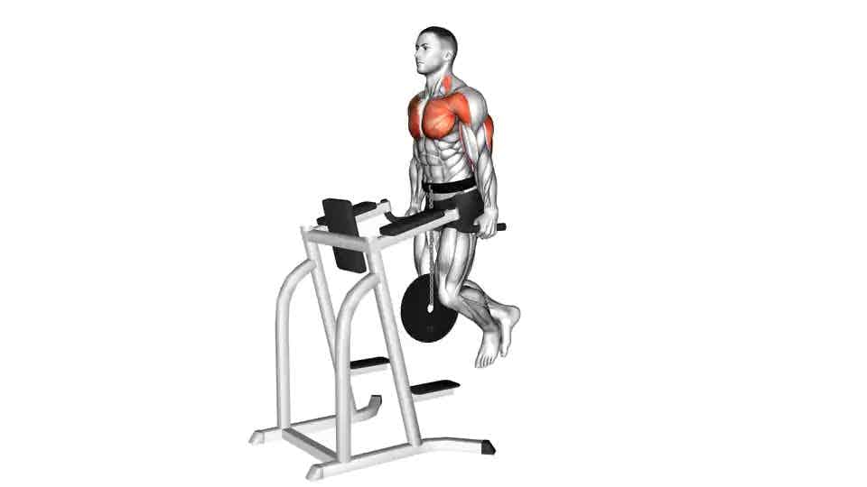 Thumbnail for the video of exercise: Weighted Tricep Dips