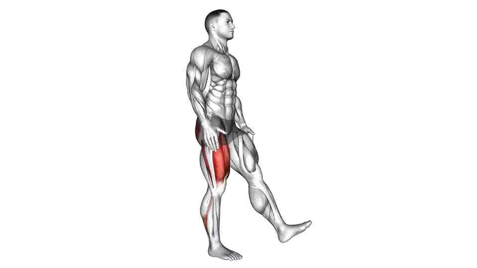 Thumbnail for the video of exercise: Single Leg Squat