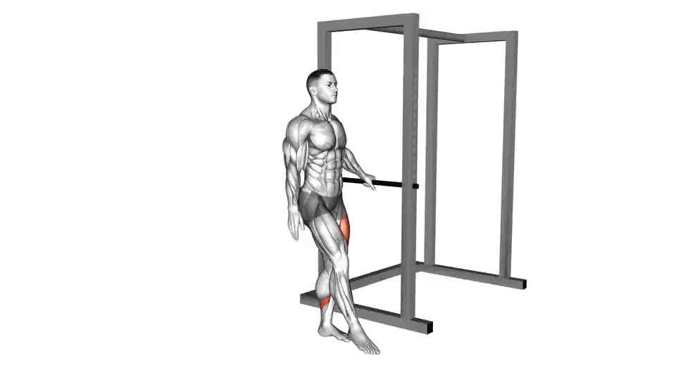 Thumbnail for the video of exercise: Single Leg Squat with Support