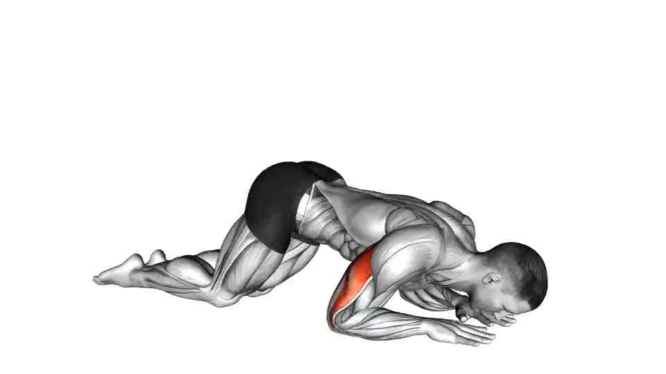 Thumbnail for the video of exercise: Bodyweight Kneeling Triceps Extension