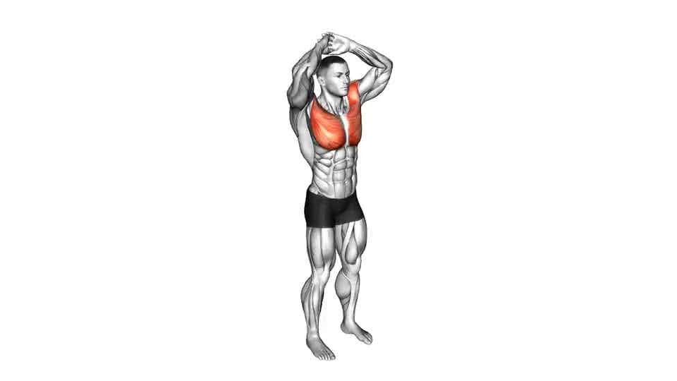 Thumbnail for the video of exercise: Above Head Chest Stretch