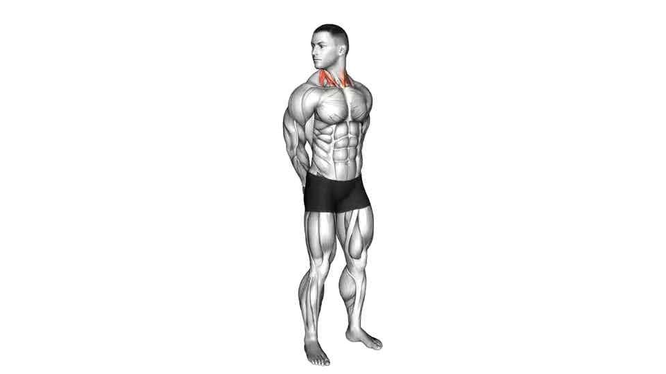 Thumbnail for the video of exercise: Rotating Neck Stretch