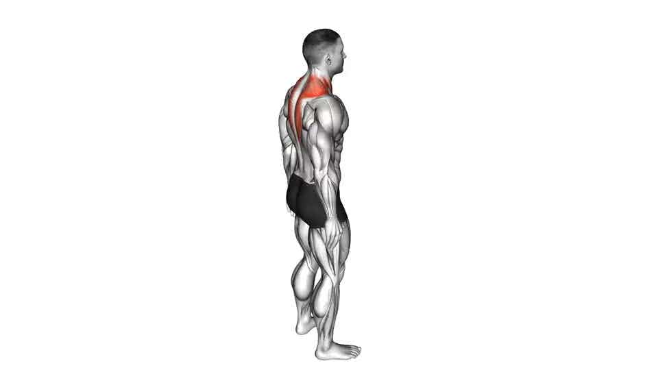 Thumbnail for the video of exercise: Forward Flexion Neck Stretch