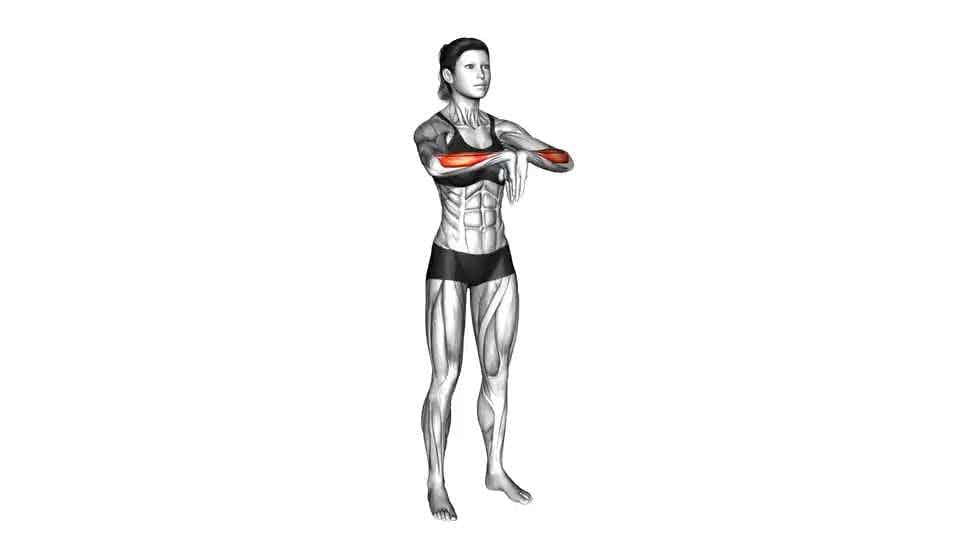 Thumbnail for the video of exercise: Wrist Extensor Stretch