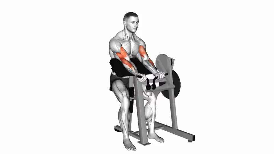 Thumbnail for the video of exercise: Lever Preacher Curl