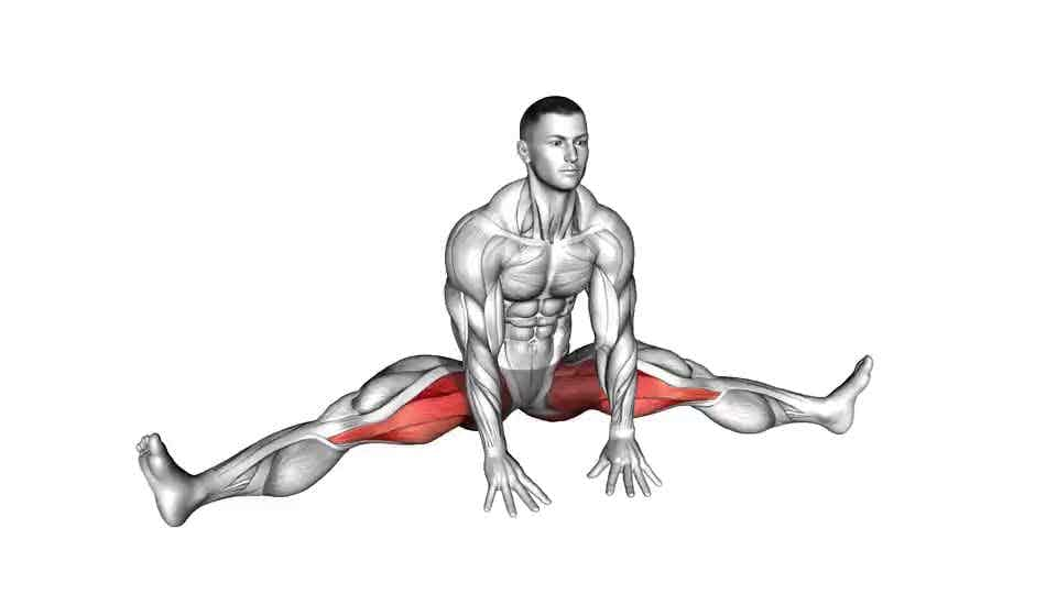 Thumbnail for the video of exercise: Sitting Wide Leg Adductor Stretch