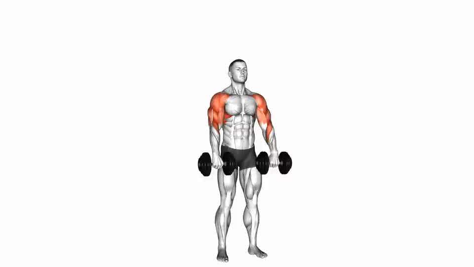 Thumbnail for the video of exercise: Dumbbell Cuban Press