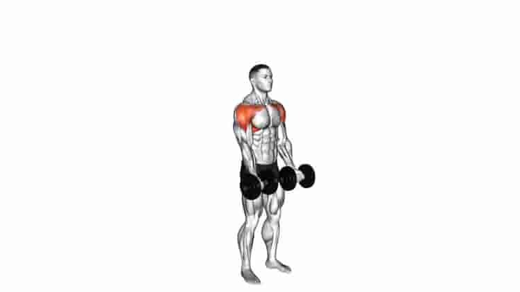 Dumbbell Standing Around World - Video Guide | Lyfta