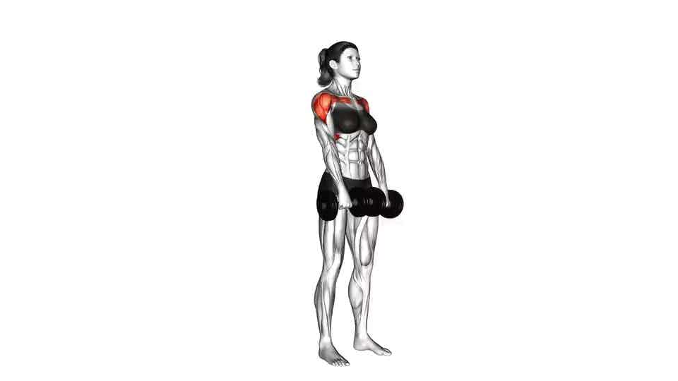 Thumbnail for the video of exercise: Dumbbell Front Raise