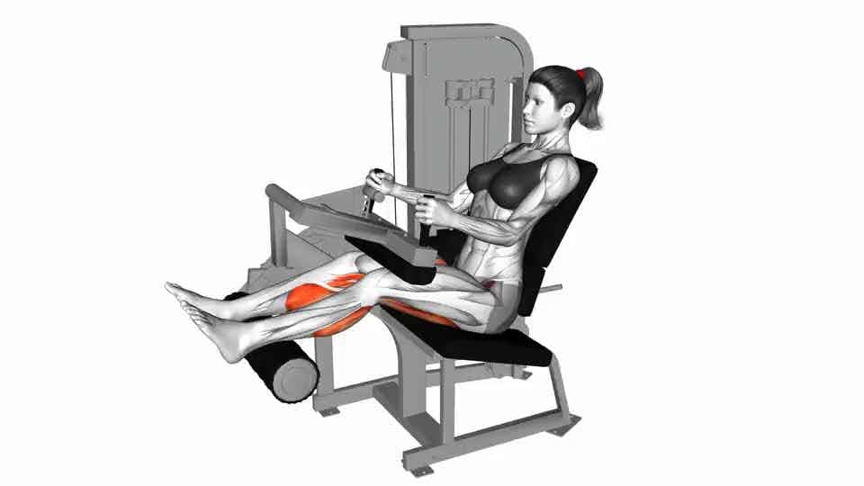 Thumbnail for the video of exercise: Lever Seated Leg Curl