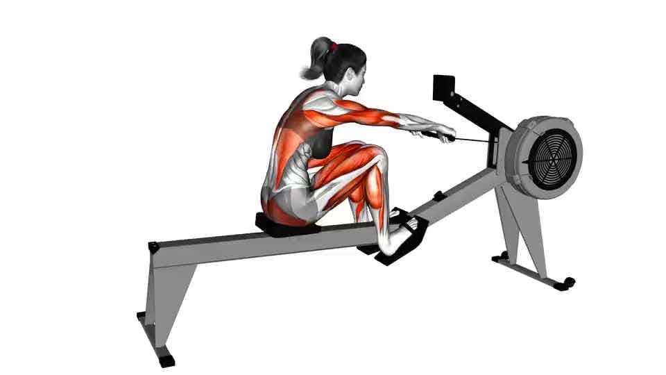 Thumbnail for the video of exercise: Rowing