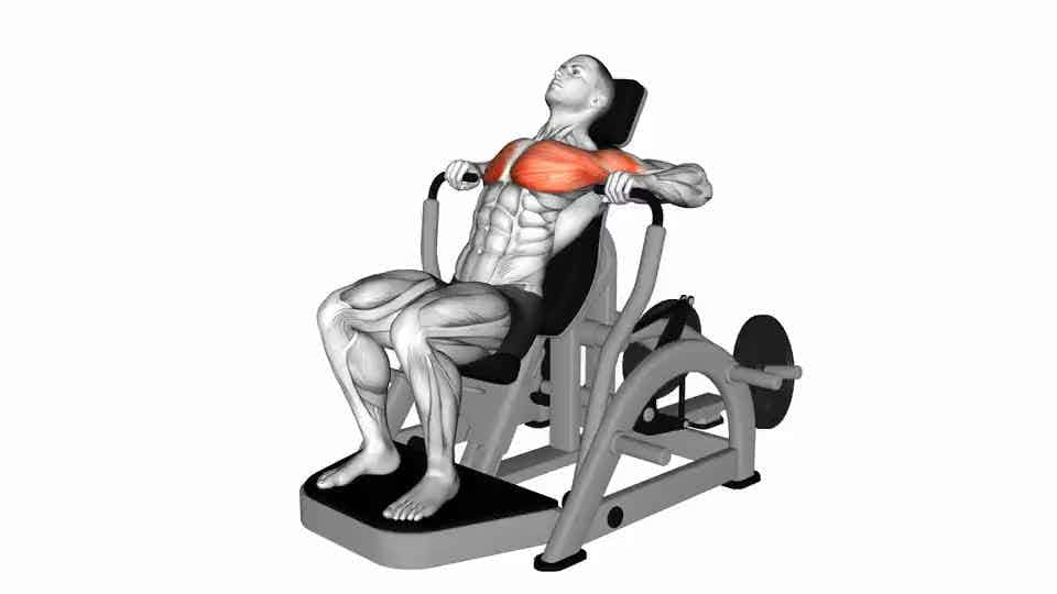 Thumbnail for the video of exercise: Lever Decline Chest Press