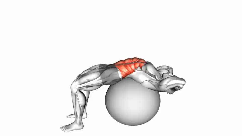 Thumbnail for the video of exercise: Stability Ball Crunch