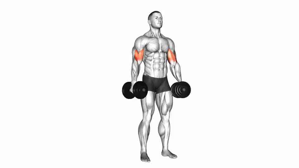 Thumbnail for the video of exercise: Dumbbell Kū i loko Biceps Curl