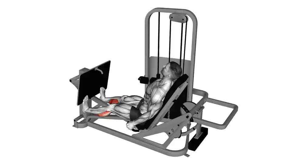 Thumbnail for the video of exercise: Lever Seated Calf Press