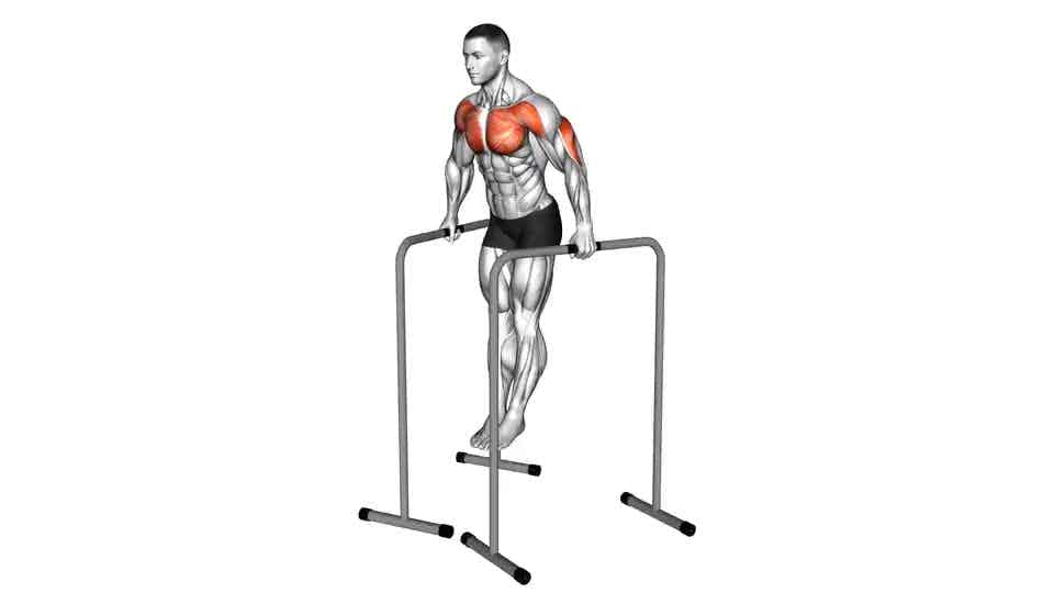 Thumbnail for the video of exercise: Wide-Grip Chest Dip on High Parallel Bars