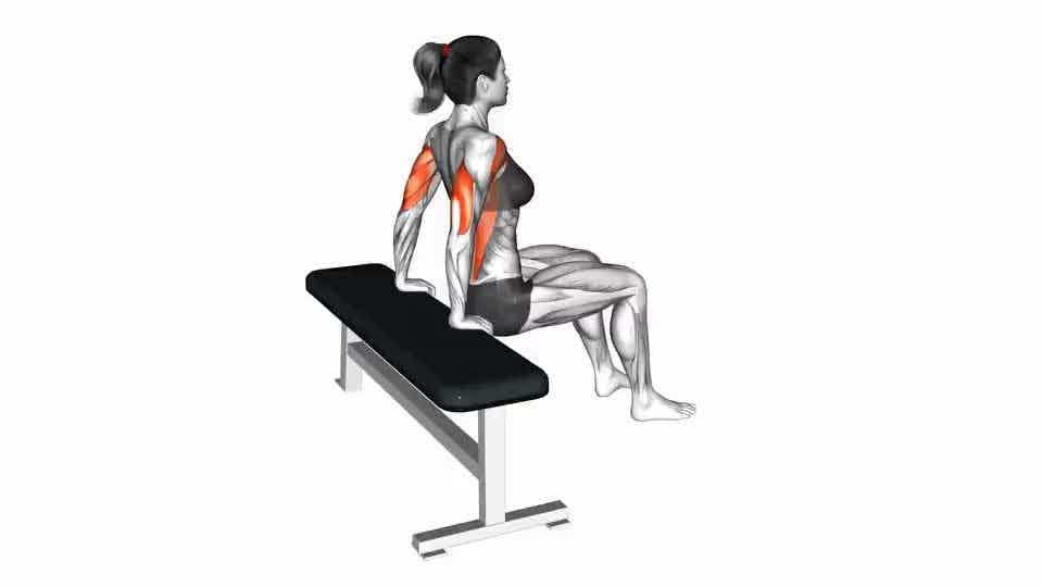 Thumbnail for the video of exercise: Bench Dip