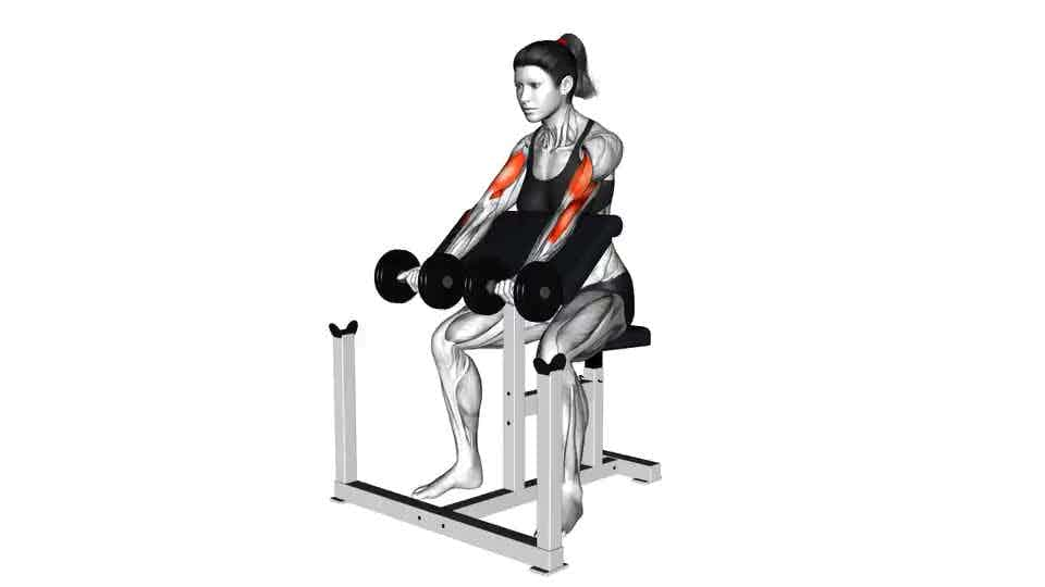 Thumbnail for the video of exercise: Dumbbell Preacher Curl