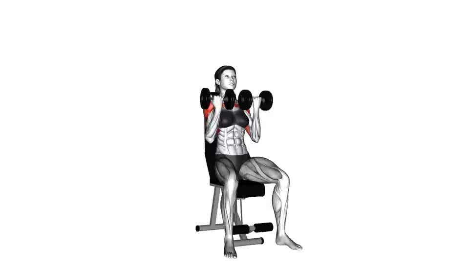 Thumbnail for the video of exercise: Dumbbell Arnold Press