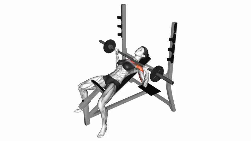 Thumbnail for the video of exercise: Barbell Incline Bench Press