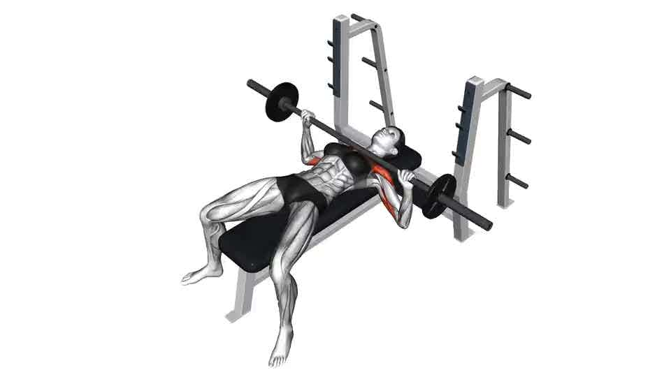 Thumbnail for the video of exercise: Barbell Bench Press