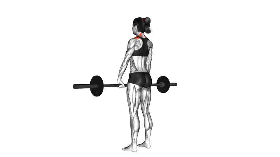 Thumbnail for the video of exercise: Barbell Shrug