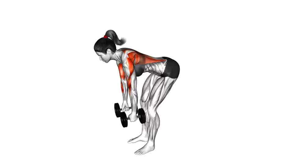 Thumbnail for the video of exercise: Dumbbell Bent Over Row