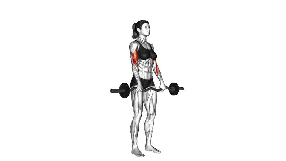Thumbnail for the video of exercise: EZ Barbell Reverse Grip Curl
