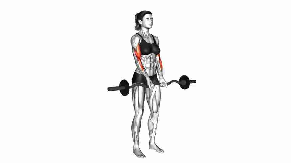 Thumbnail for the video of exercise: EZ Barbell Close grip Curl