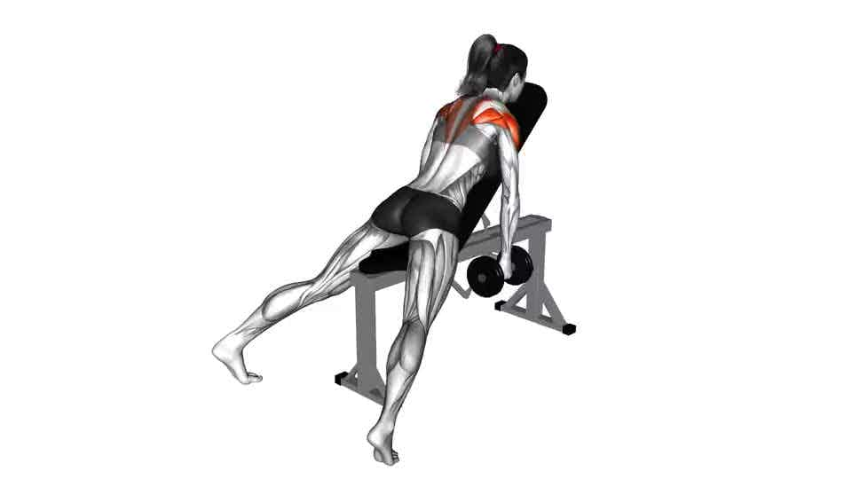 Thumbnail for the video of exercise: Dumbbell Incline Rear Fly