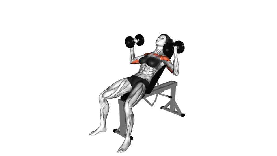 Thumbnail for the video of exercise: Dumbbell Incline Hammer Press