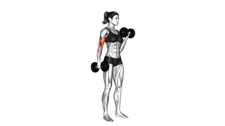 Thumbnail for the video of exercise: Dumbbell Alternate Biceps Curl