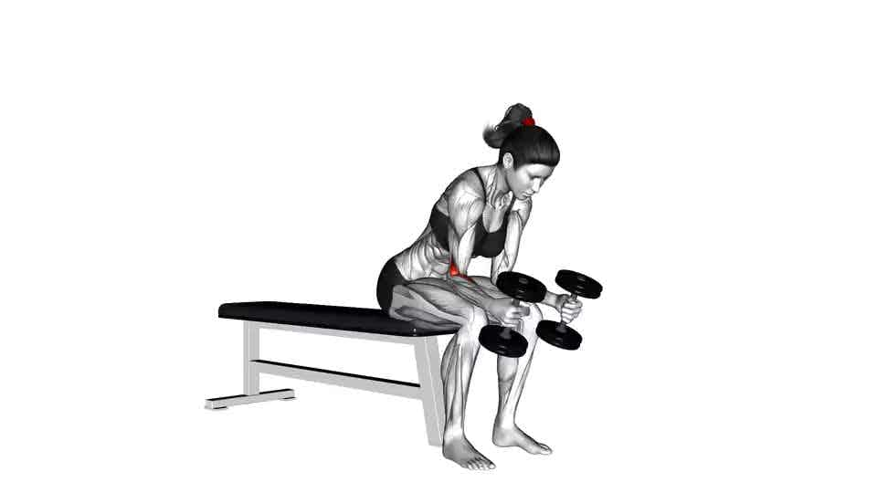 Thumbnail for the video of exercise: Dumbbell Seated Neutral Wrist Curl