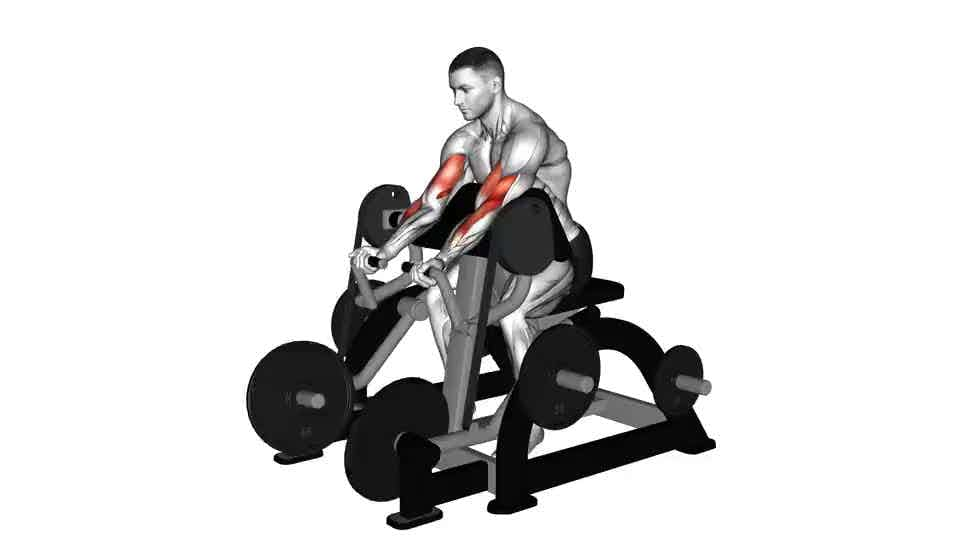 Thumbnail for the video of exercise: Lever Preacher Curl